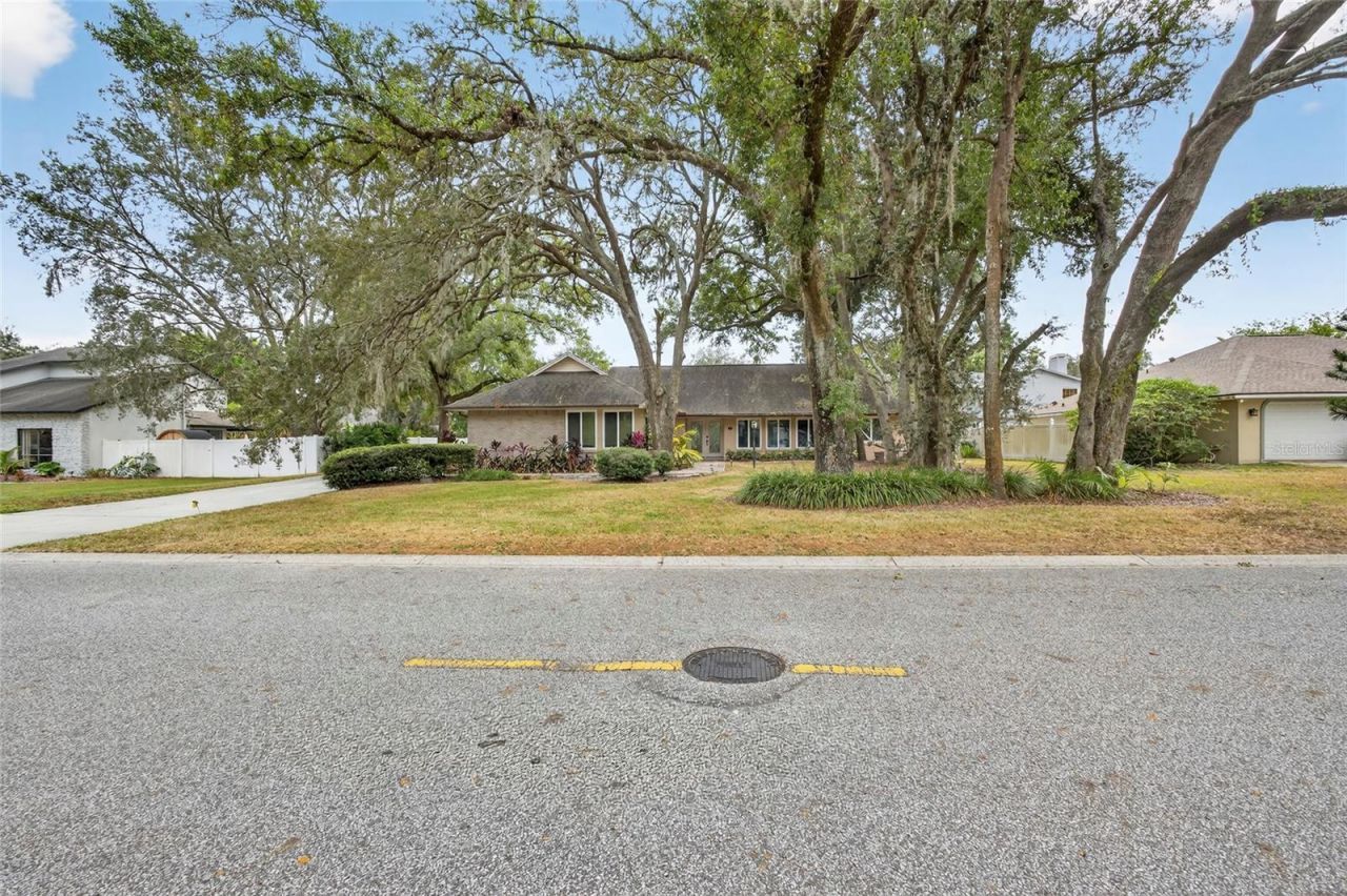 6317 E 113th Avenue, Temple Terrace, FL 33617 Photo