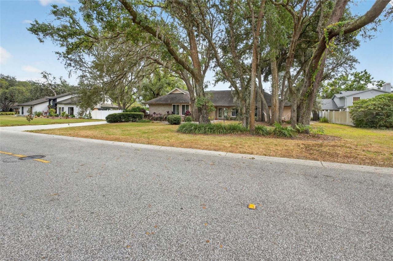 6317 E 113th Avenue, Temple Terrace, FL 33617 Photo