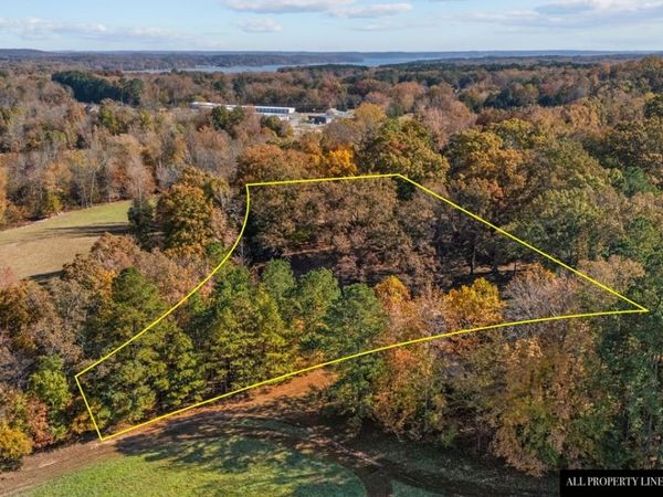 12225 Off Highway 79 N, Buchanan, TN 38222