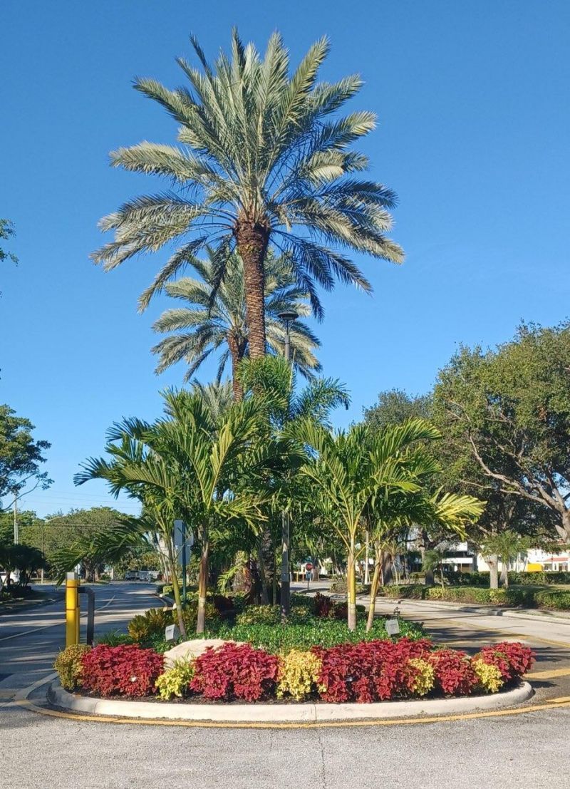 8130 Nadmar Avenue, Boca Raton, FL 33434 Photo