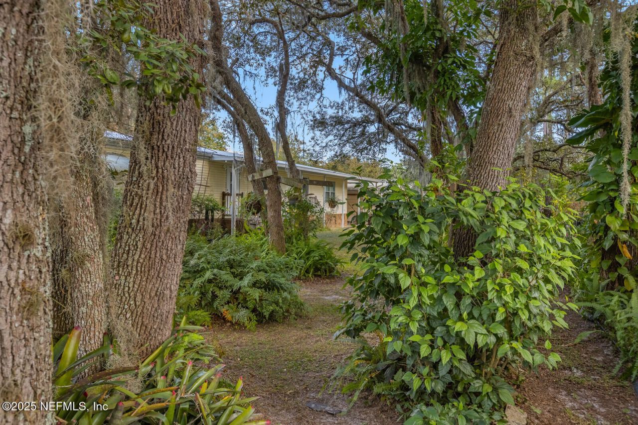 101 Palmland Avenue, Satsuma, FL 32189 Photo