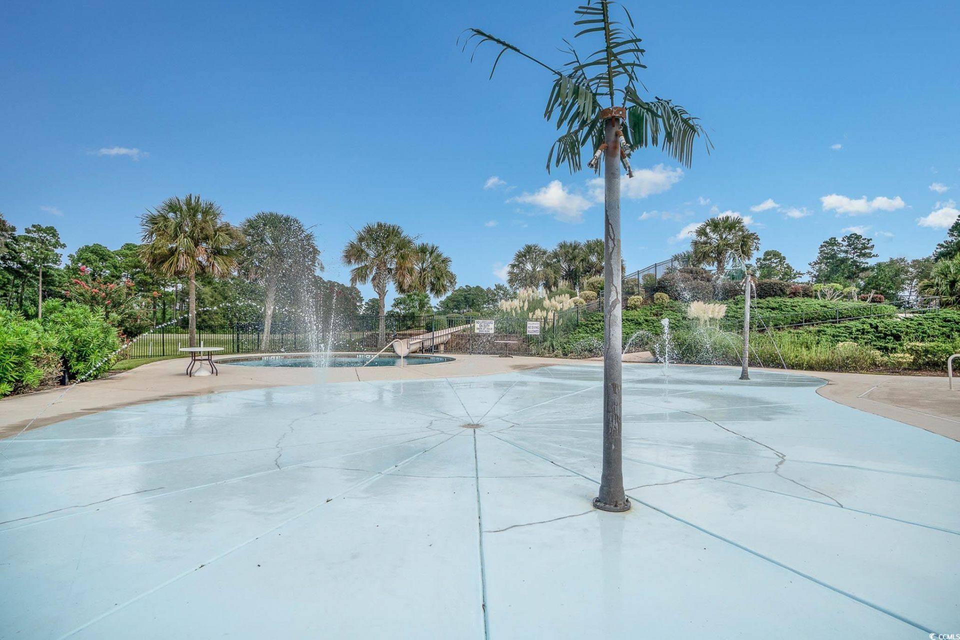1009 Dowitcher Dr. Photo 37