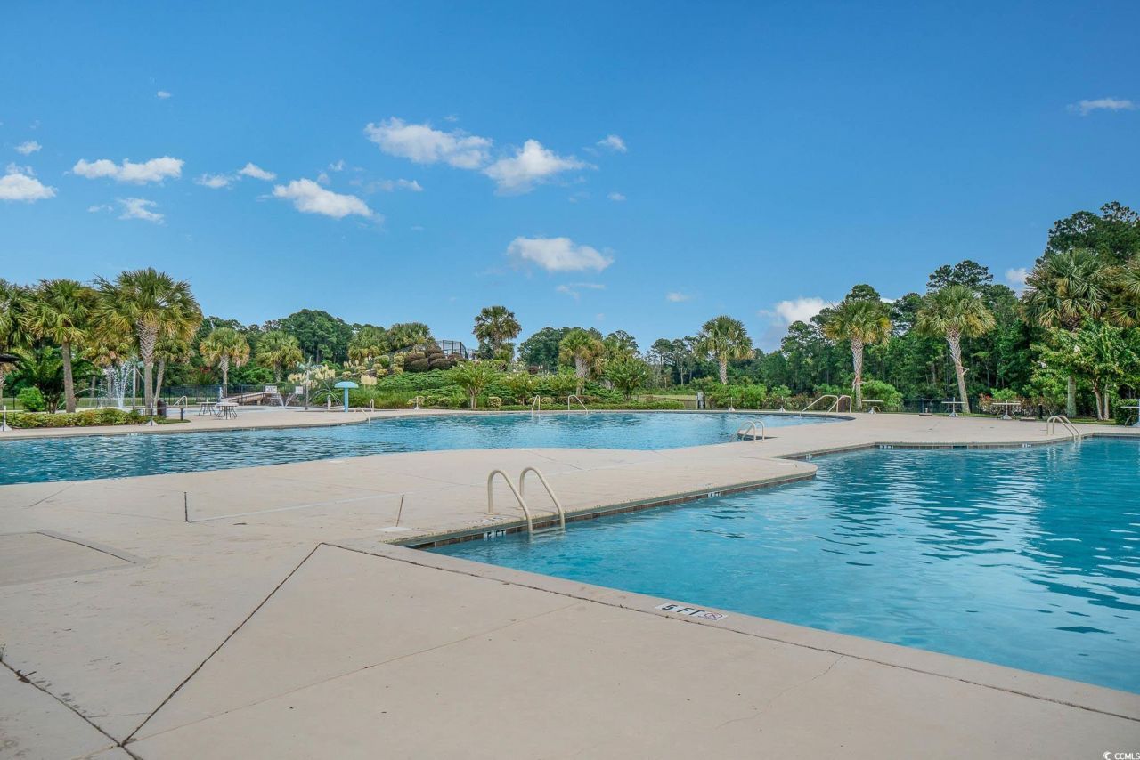 1009 Dowitcher Dr. Photo 40