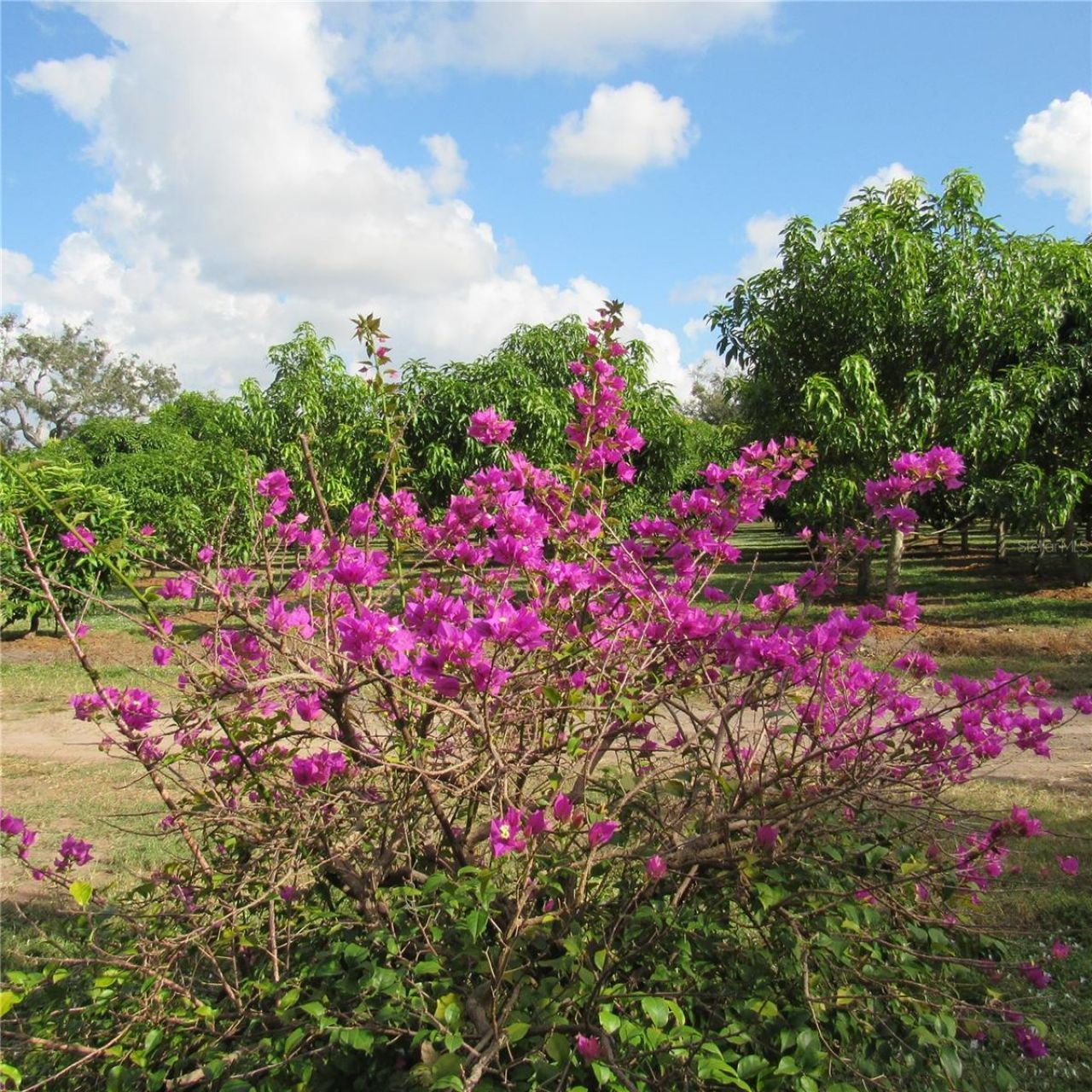 21552 E State Road 64, Bradenton, FL 34212 Photo