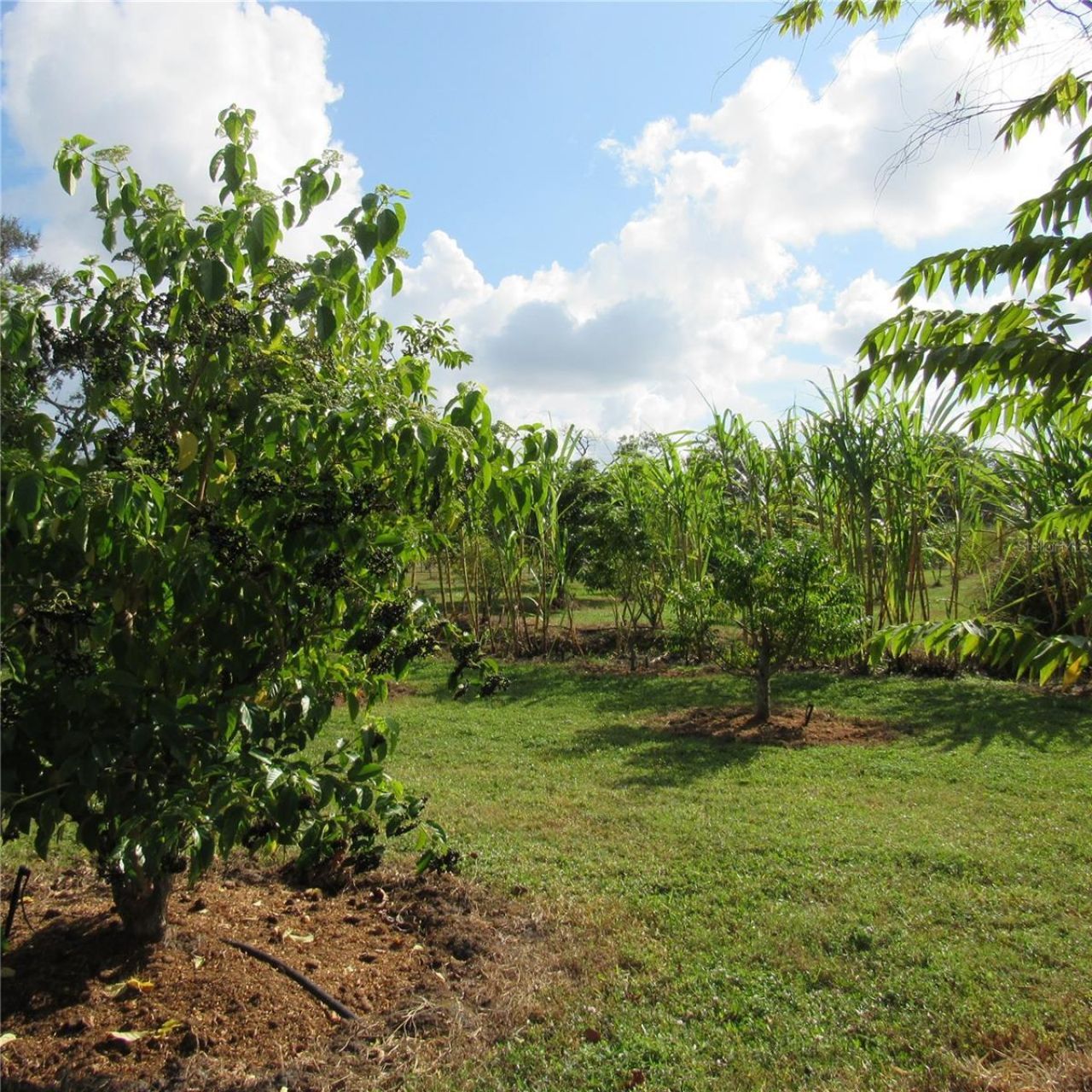 21552 E State Road 64, Bradenton, FL 34212 Photo