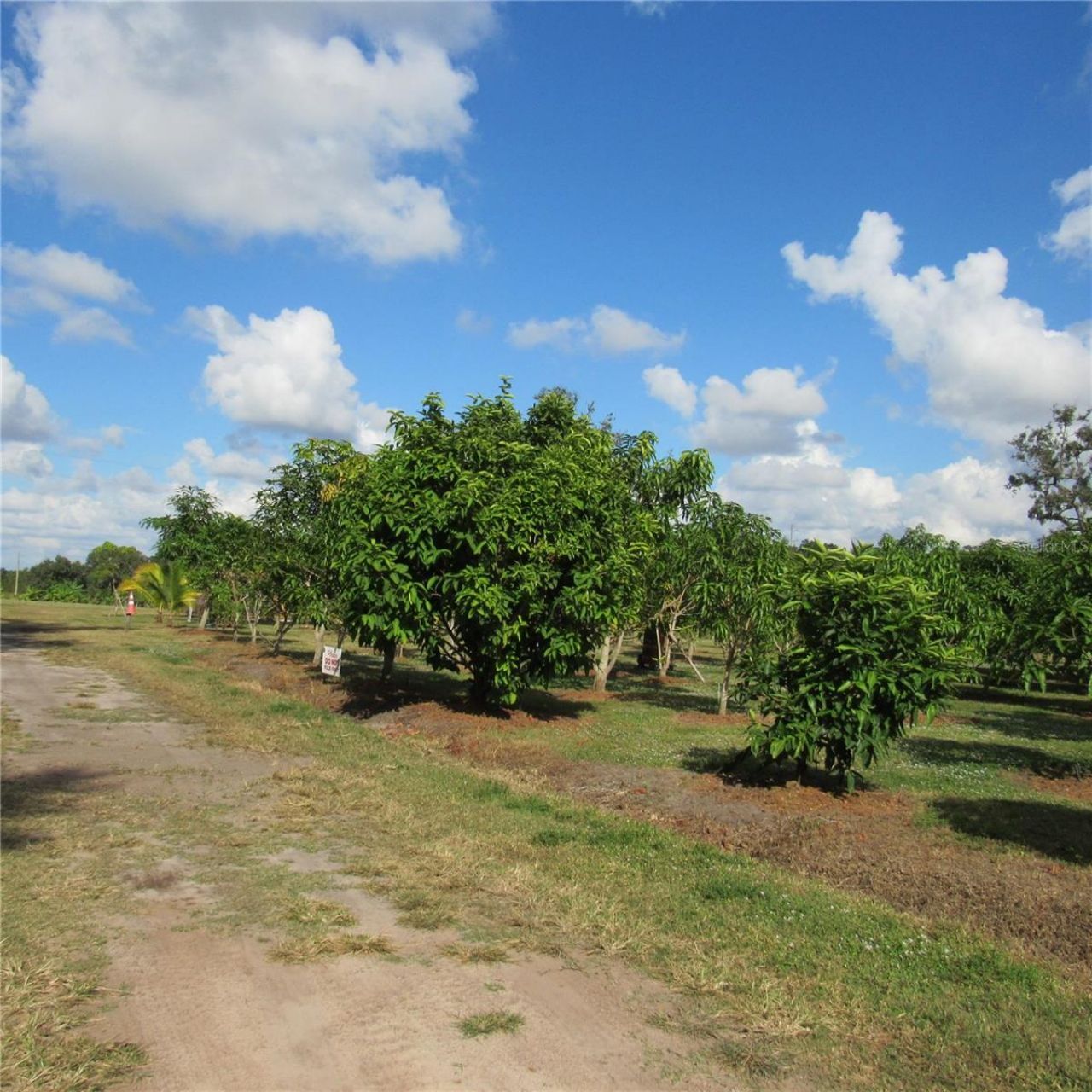 21552 E State Road 64, Bradenton, FL 34212 Photo