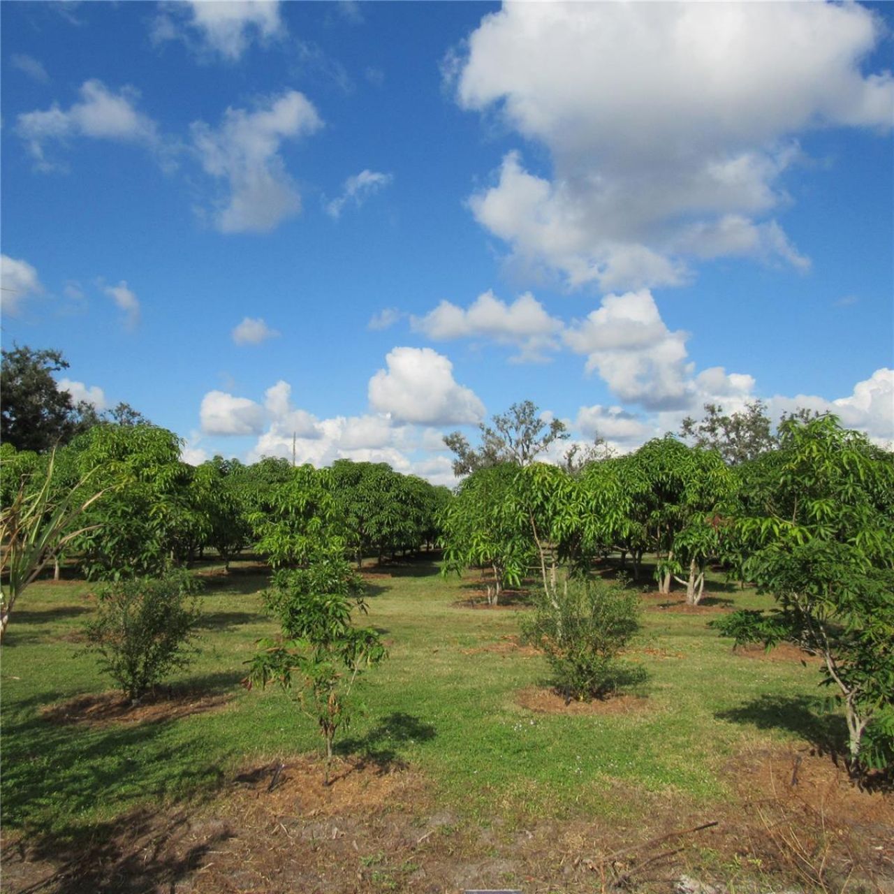 21552 E State Road 64, Bradenton, FL 34212 Photo