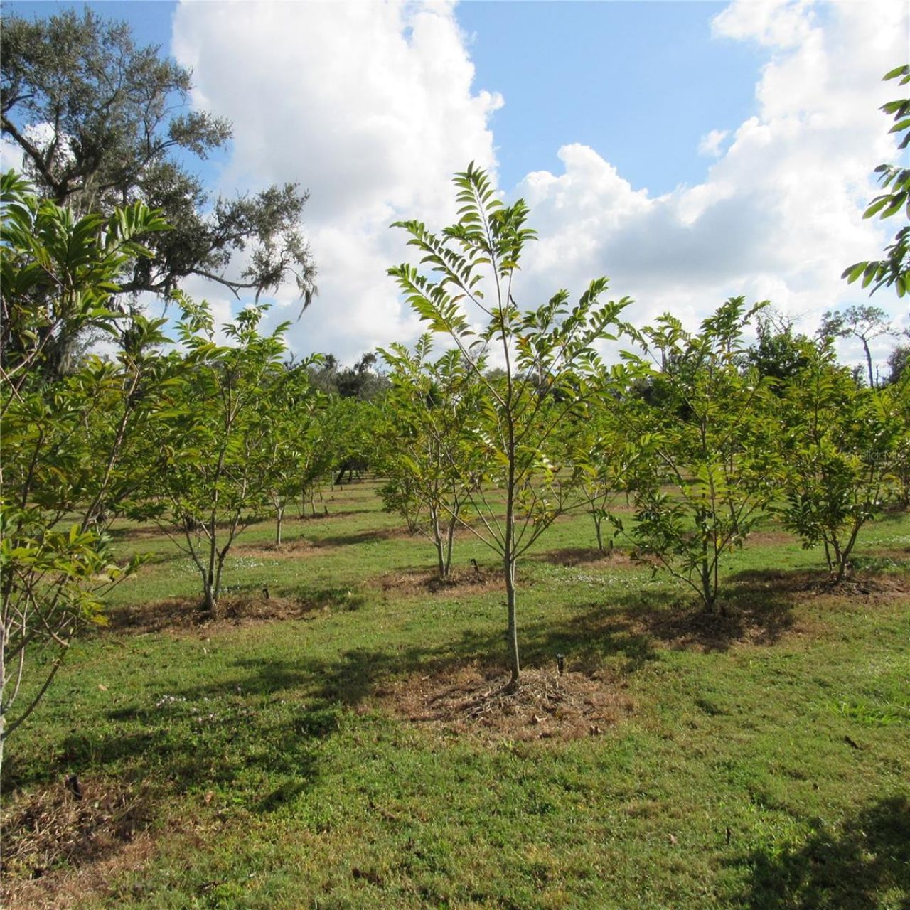 21552 E State Road 64, Bradenton, FL 34212 Photo