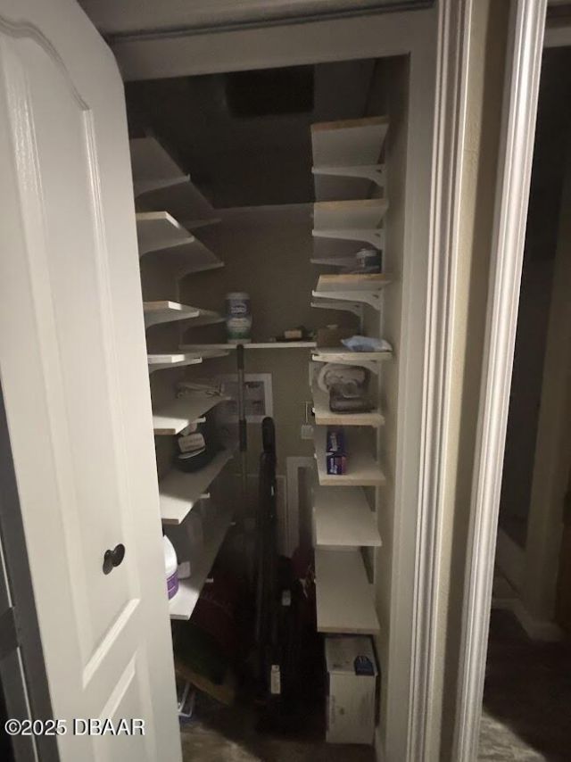 25203 NE 141st Lane, Salt Springs, FL 32134 Photo