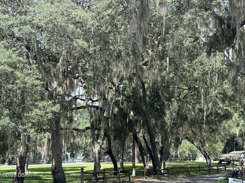 25203 NE 141st Lane, Salt Springs, FL 32134 Photo