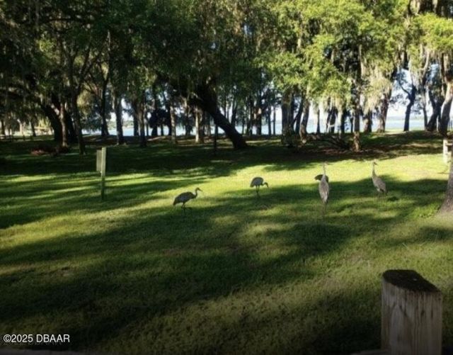 25203 NE 141st Lane, Salt Springs, FL 32134 Photo