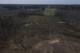 Tbd Mosdell Dr. photo 4