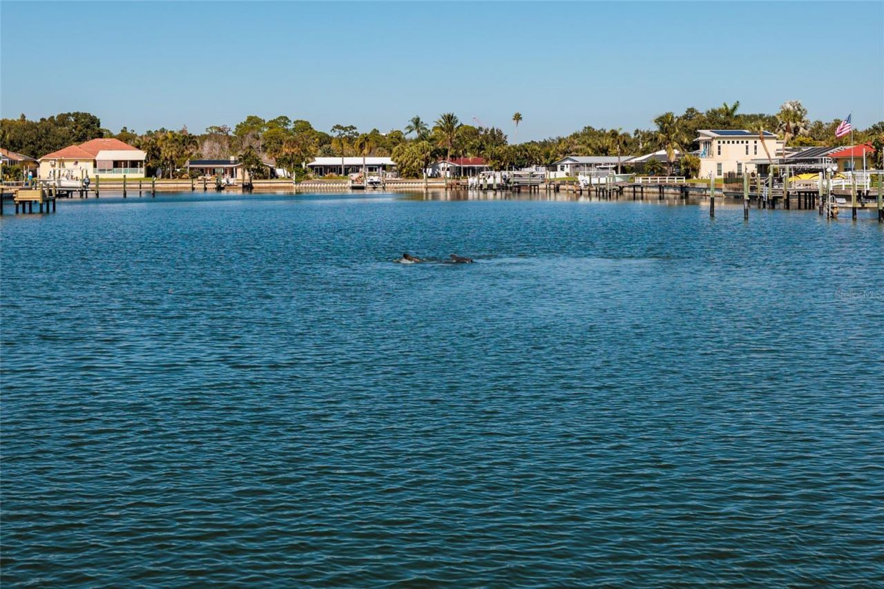 3789 46th Avenue S, Unit 101, Saint Petersburg, FL 33711 Photo