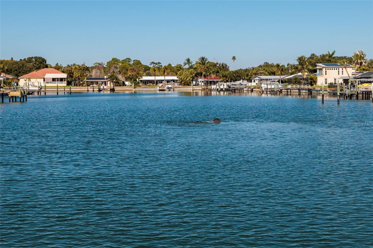 3789 46th Avenue S, Unit 101, Saint Petersburg, FL 33711 Photo