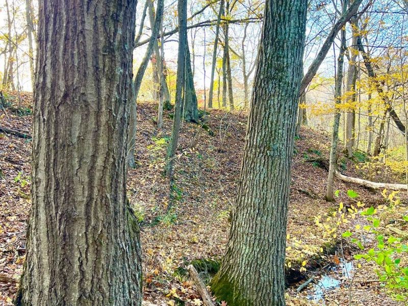 872 Mullen Road, Washington Township, OH 45153 Photo 1