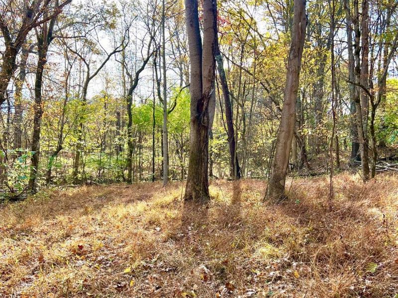 872 Mullen Road, Washington Township, OH 45153 Photo 10