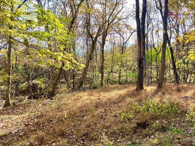 872 Mullen Road, Washington Township, OH 45153 Photo 11