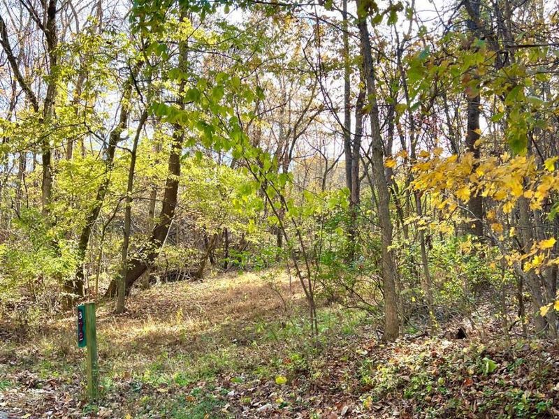 872 Mullen Road, Washington Township, OH 45153 Photo 12