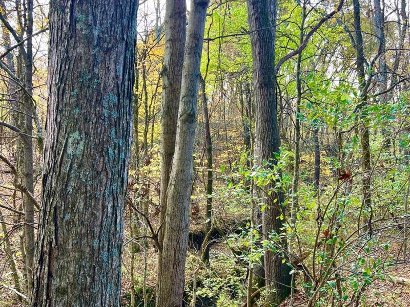 872 Mullen Road, Washington Township, OH 45153 Photo 14