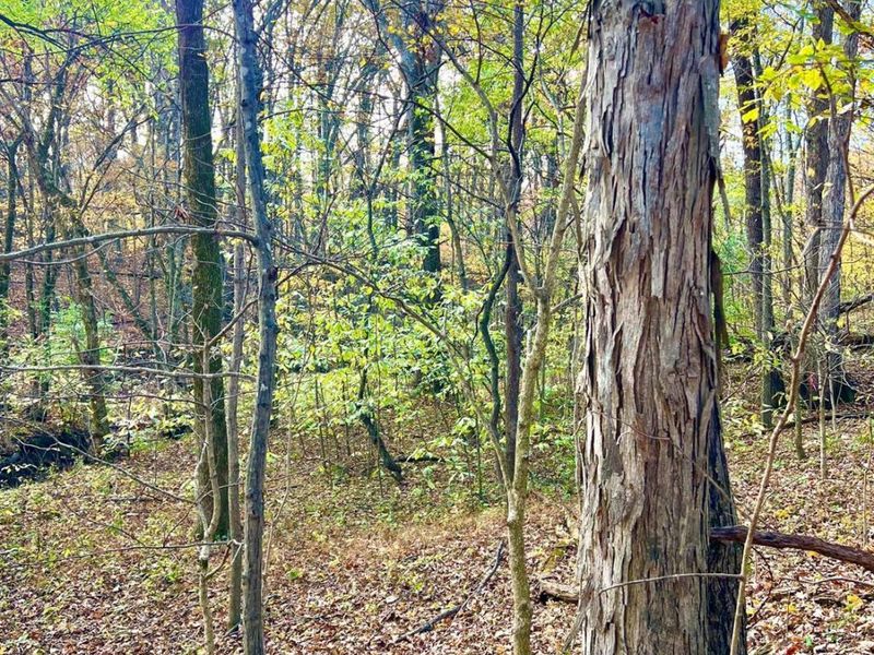 872 Mullen Road, Washington Township, OH 45153 Photo 15