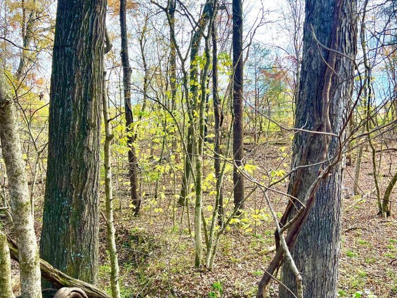 872 Mullen Road, Washington Township, OH 45153 Photo 16