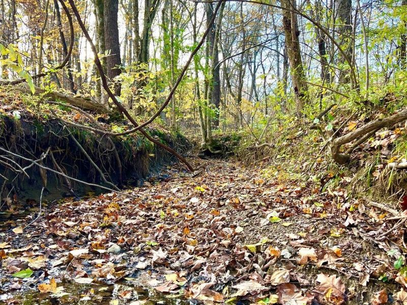 872 Mullen Road, Washington Township, OH 45153 Photo 17