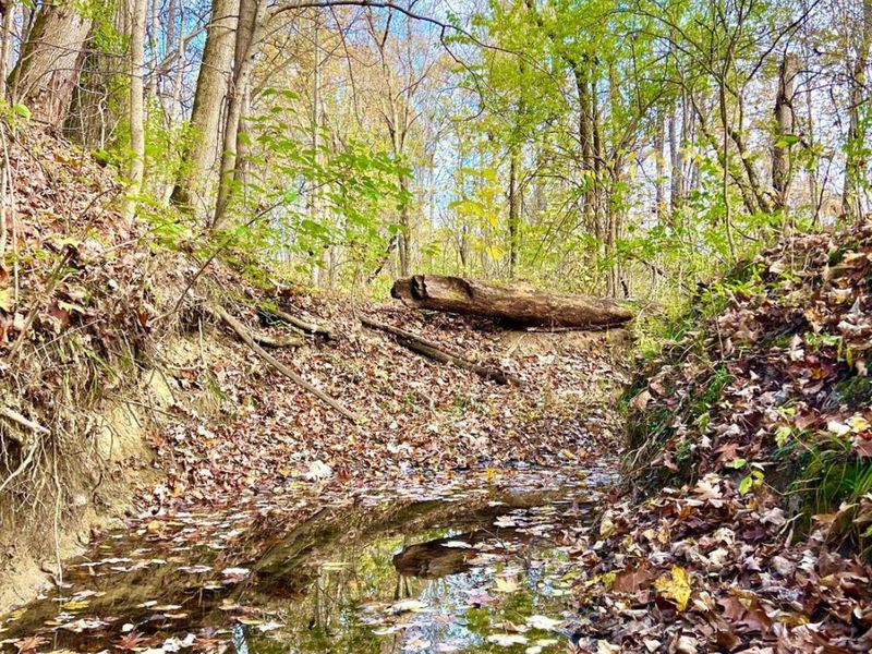 872 Mullen Road, Washington Township, OH 45153 Photo 2