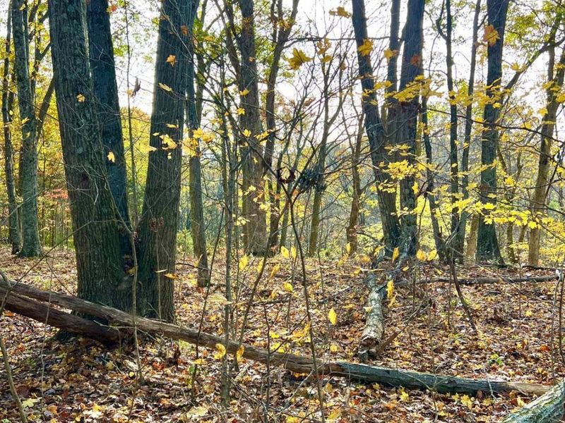 872 Mullen Road, Washington Township, OH 45153 Photo 23