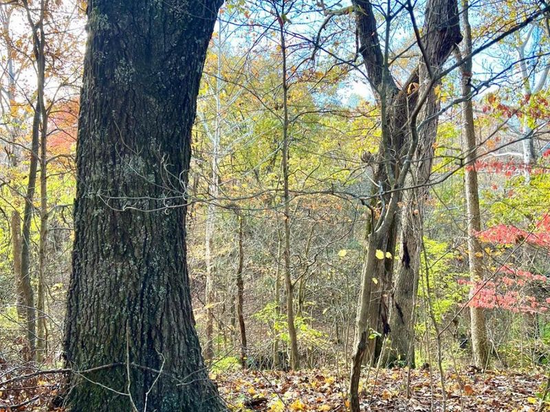 872 Mullen Road, Washington Township, OH 45153 Photo 24