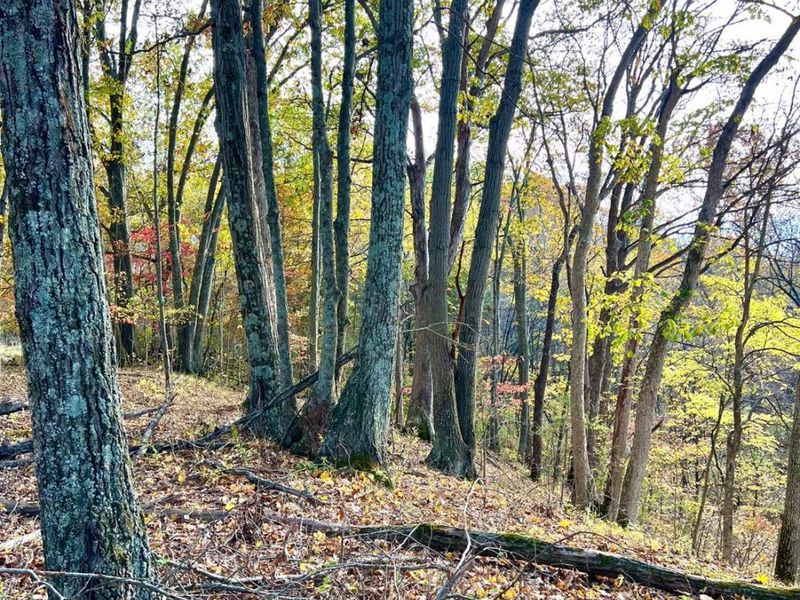 872 Mullen Road, Washington Township, OH 45153 Photo 25