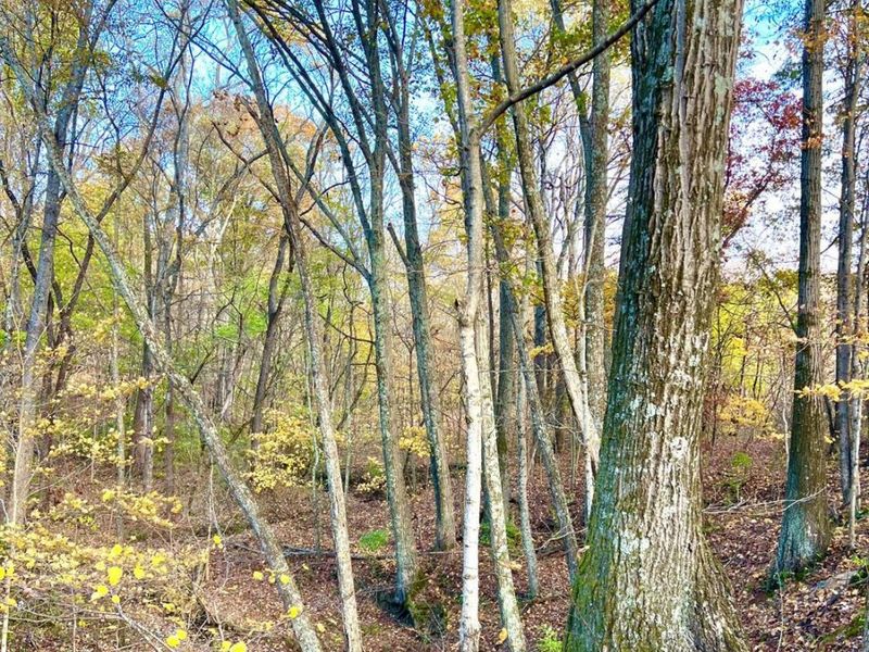 872 Mullen Road, Washington Township, OH 45153 Photo 27