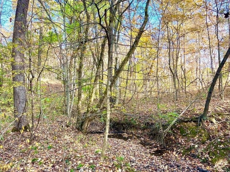 872 Mullen Road, Washington Township, OH 45153 Photo 28