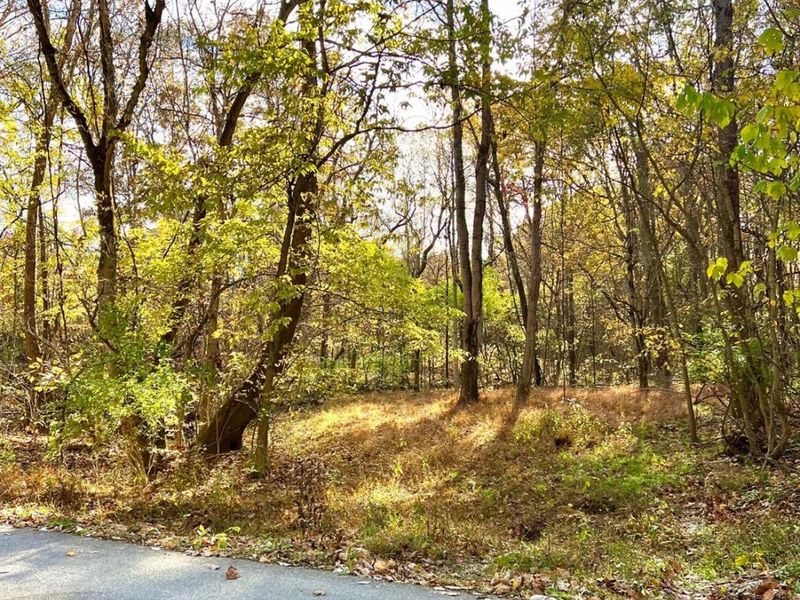 872 Mullen Road, Washington Township, OH 45153 Photo 30