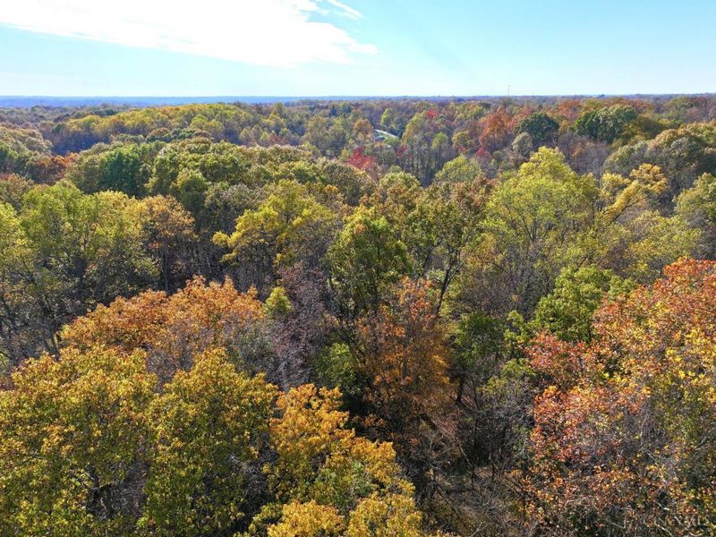 872 Mullen Road, Washington Township, OH 45153 Photo 32