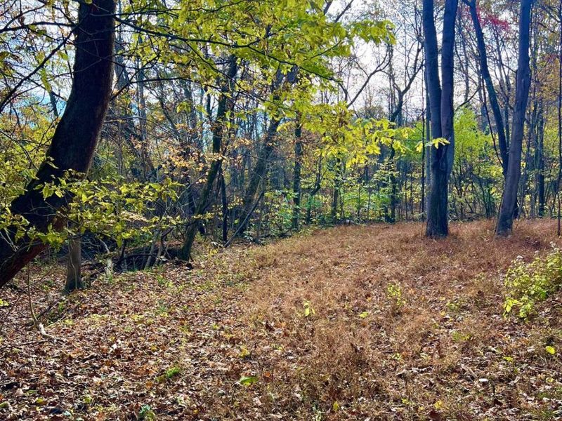 872 Mullen Road, Washington Township, OH 45153 Photo 5