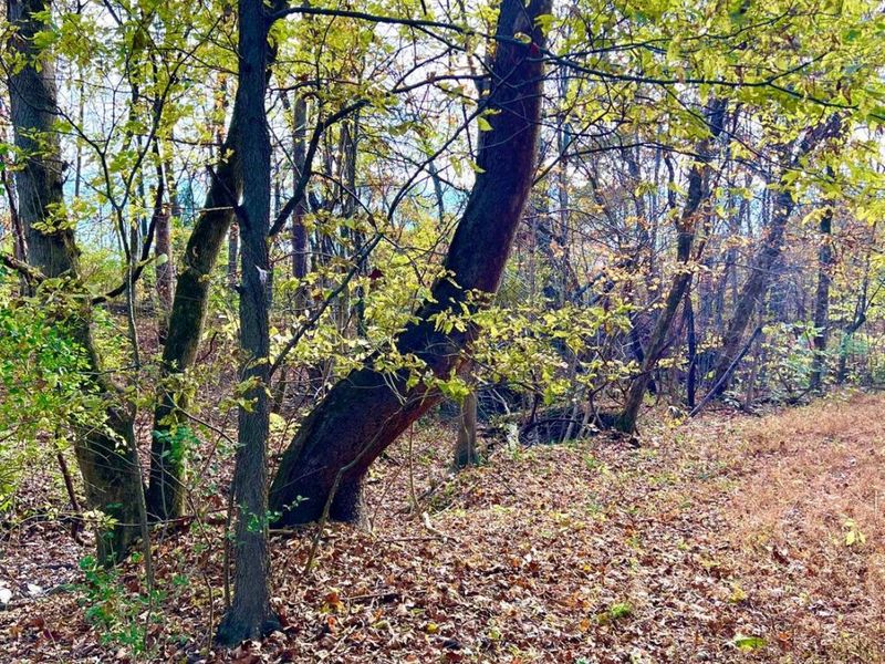 872 Mullen Road, Washington Township, OH 45153 Photo 7