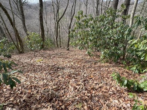 TBD Big Ridge Road , Bakersville, NC 28705