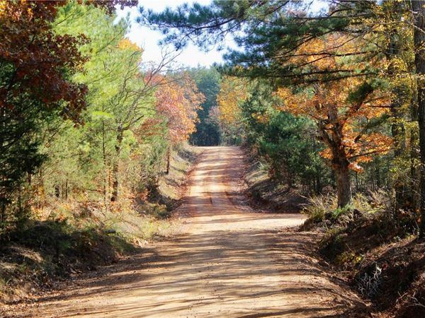 2590 Madison 3370, Witter, AR 72776