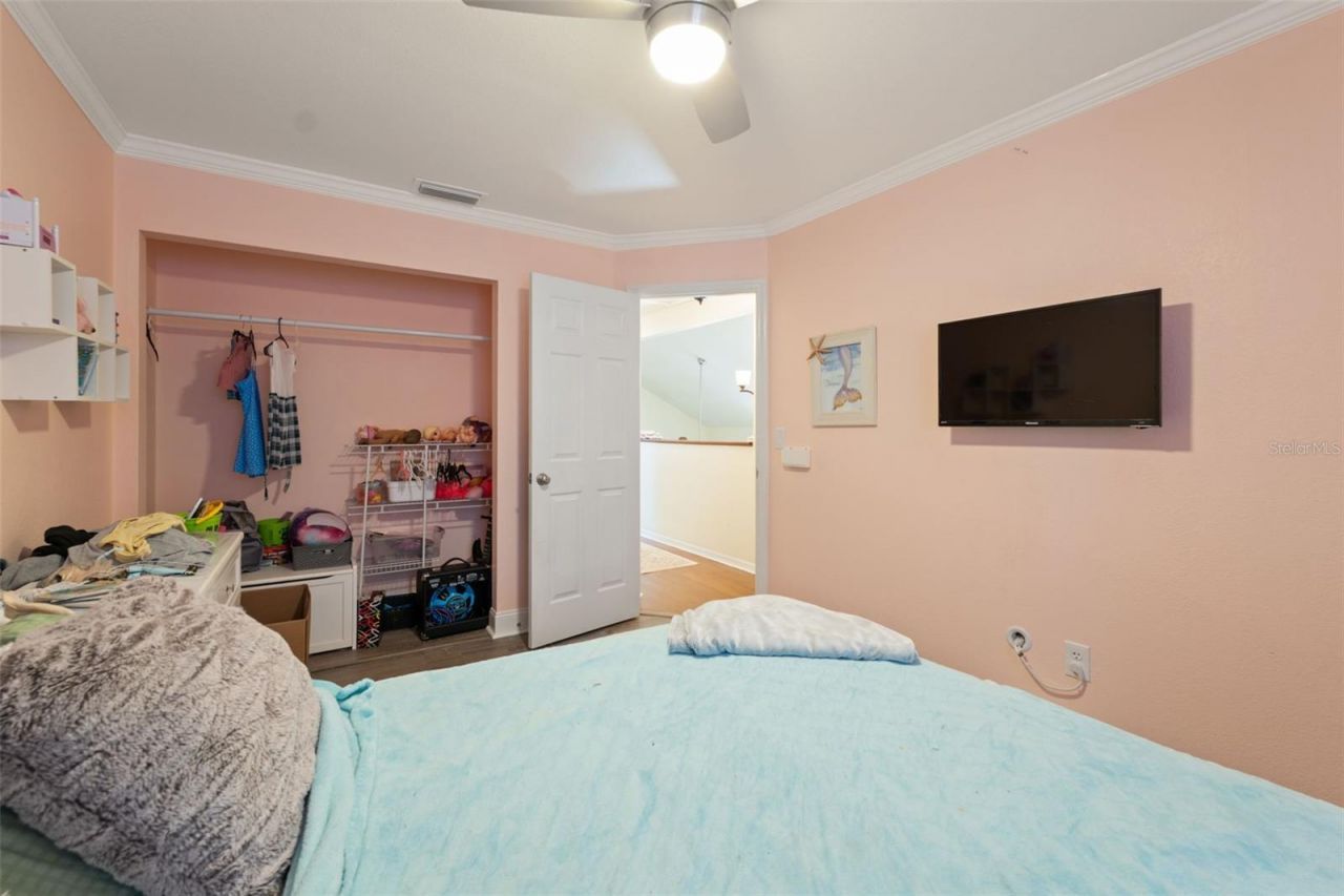 24138 Twin Court, Land O Lakes, FL 34639 Photo