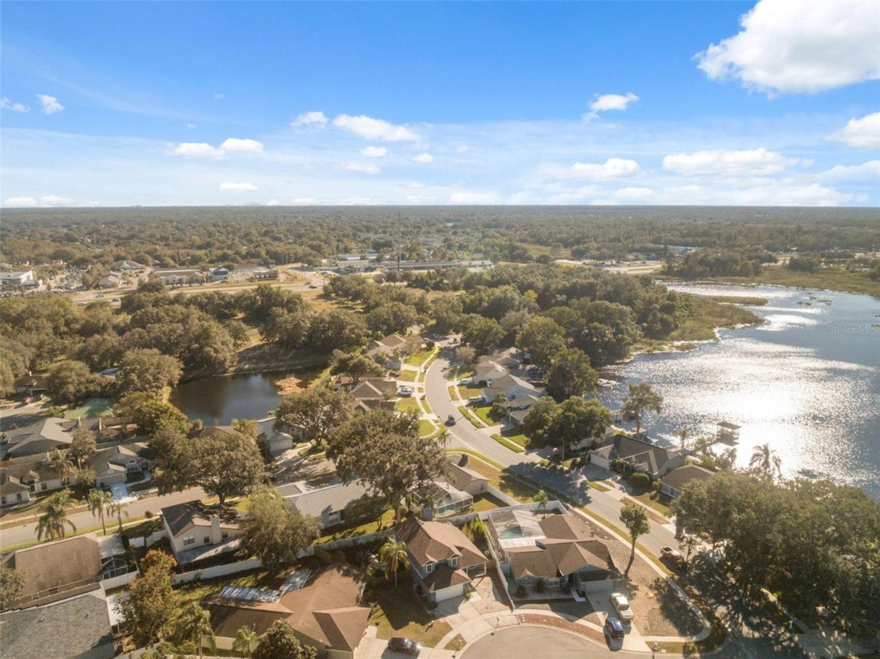 24138 Twin Court, Land O Lakes, FL 34639 Photo