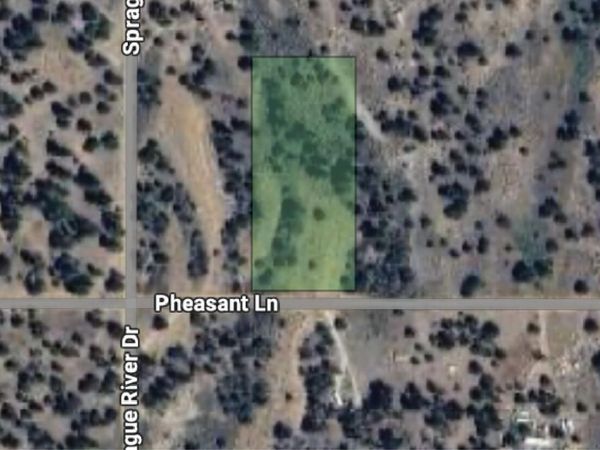 0 Pheasant, Unit 27, Sprague River, OR 97639