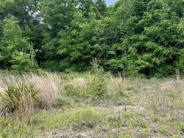 2523 Palmetto Terrace, FL 32323