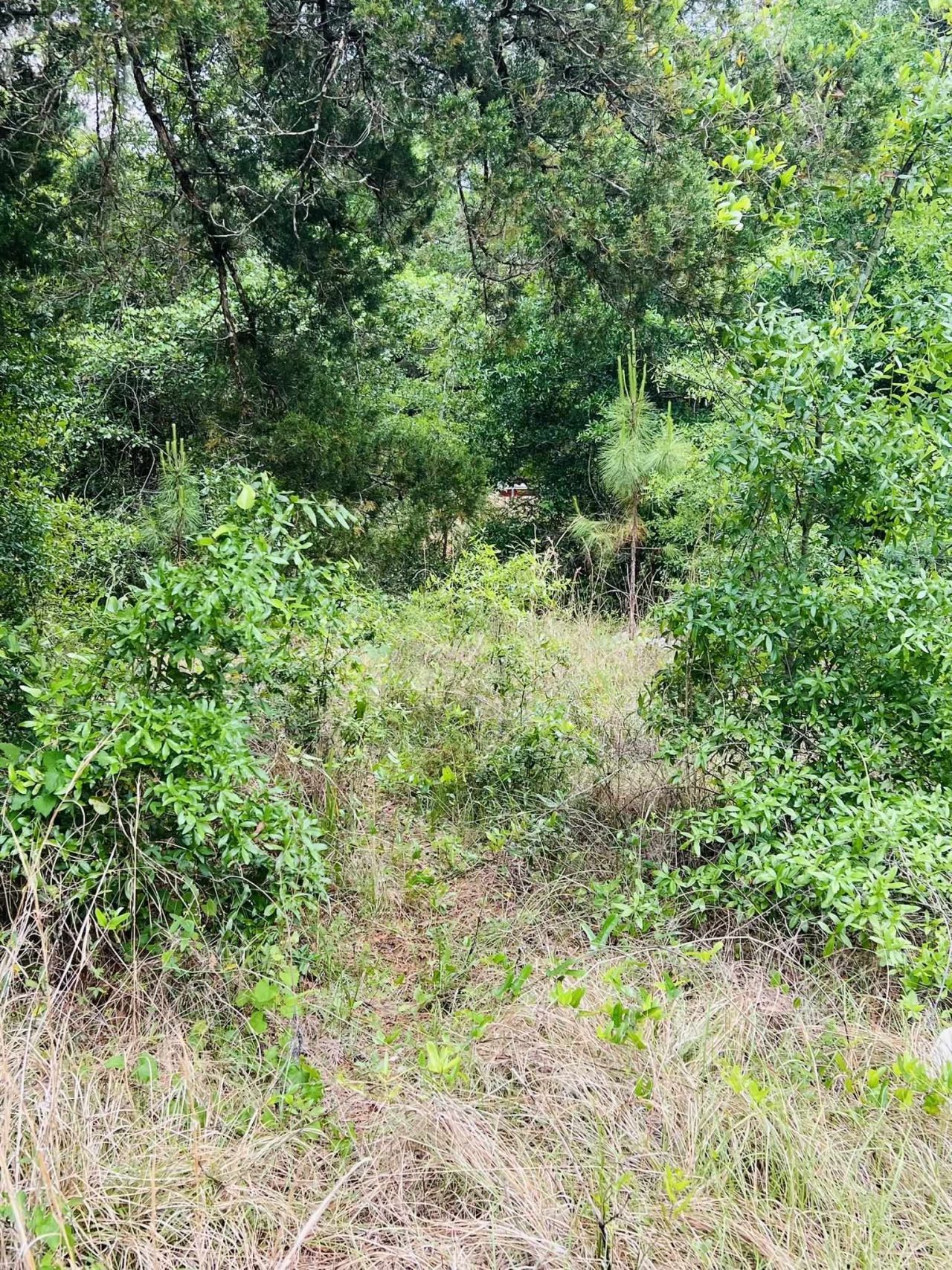 2523 Palmetto Terrace, Lanark Village, FL 32323 Photo