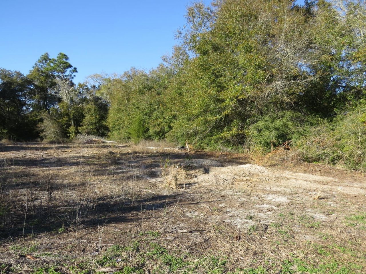 2523 Palmetto Terrace, Lanark Village, FL 32323 Photo