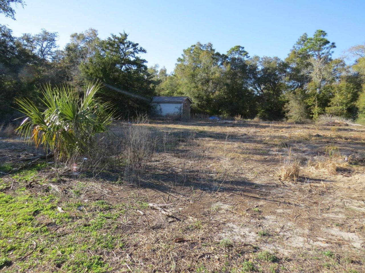 2523 Palmetto Terrace, Lanark Village, FL 32323 Photo