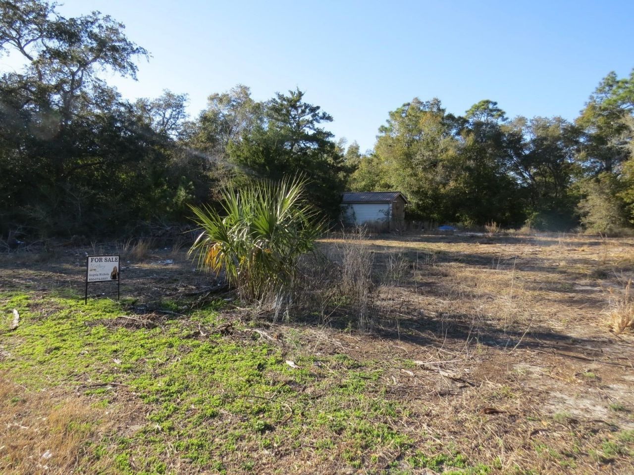 2523 Palmetto Terrace, Lanark Village, FL 32323 Photo