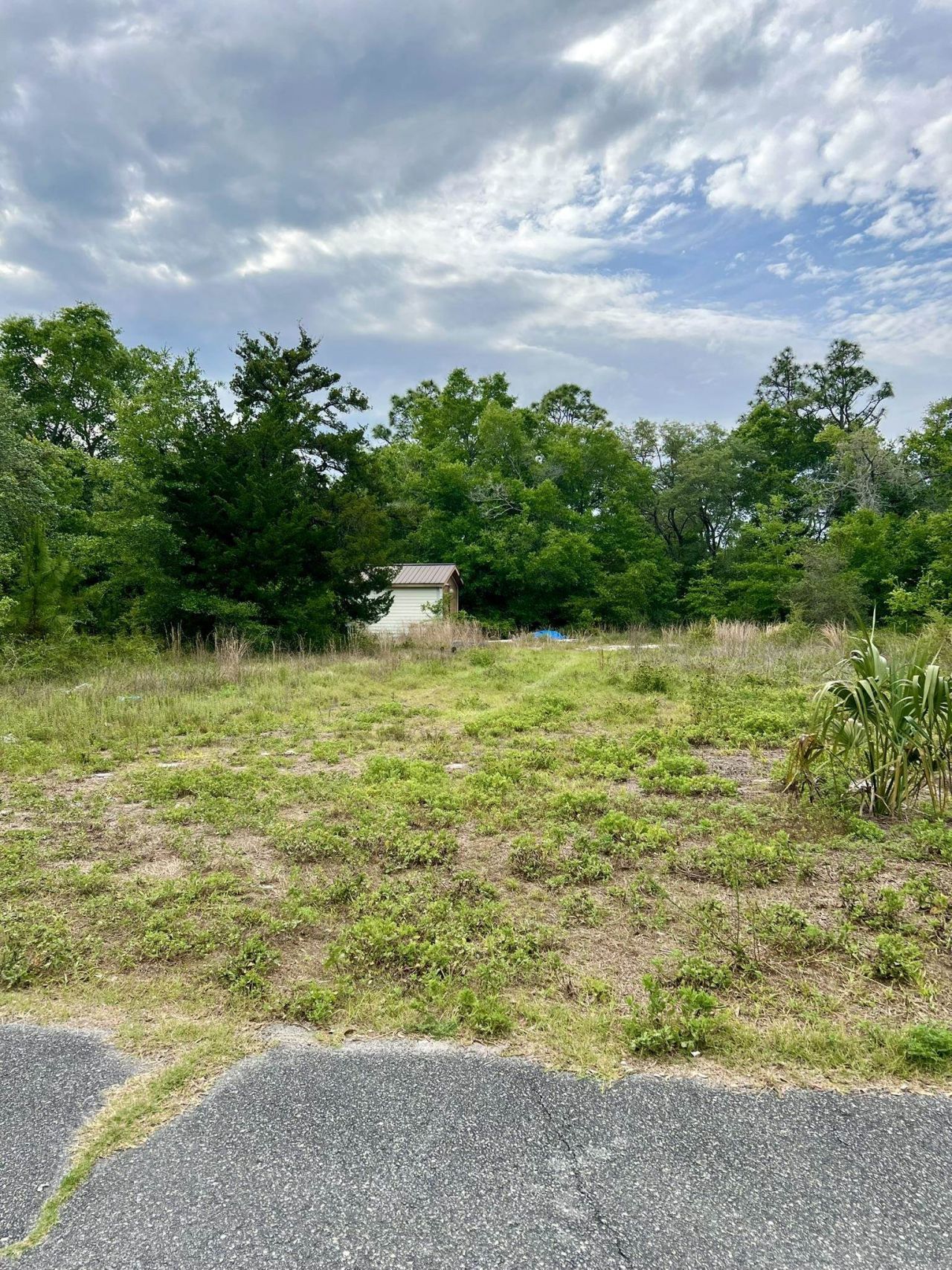 2523 Palmetto Terrace, Lanark Village, FL 32323 Photo