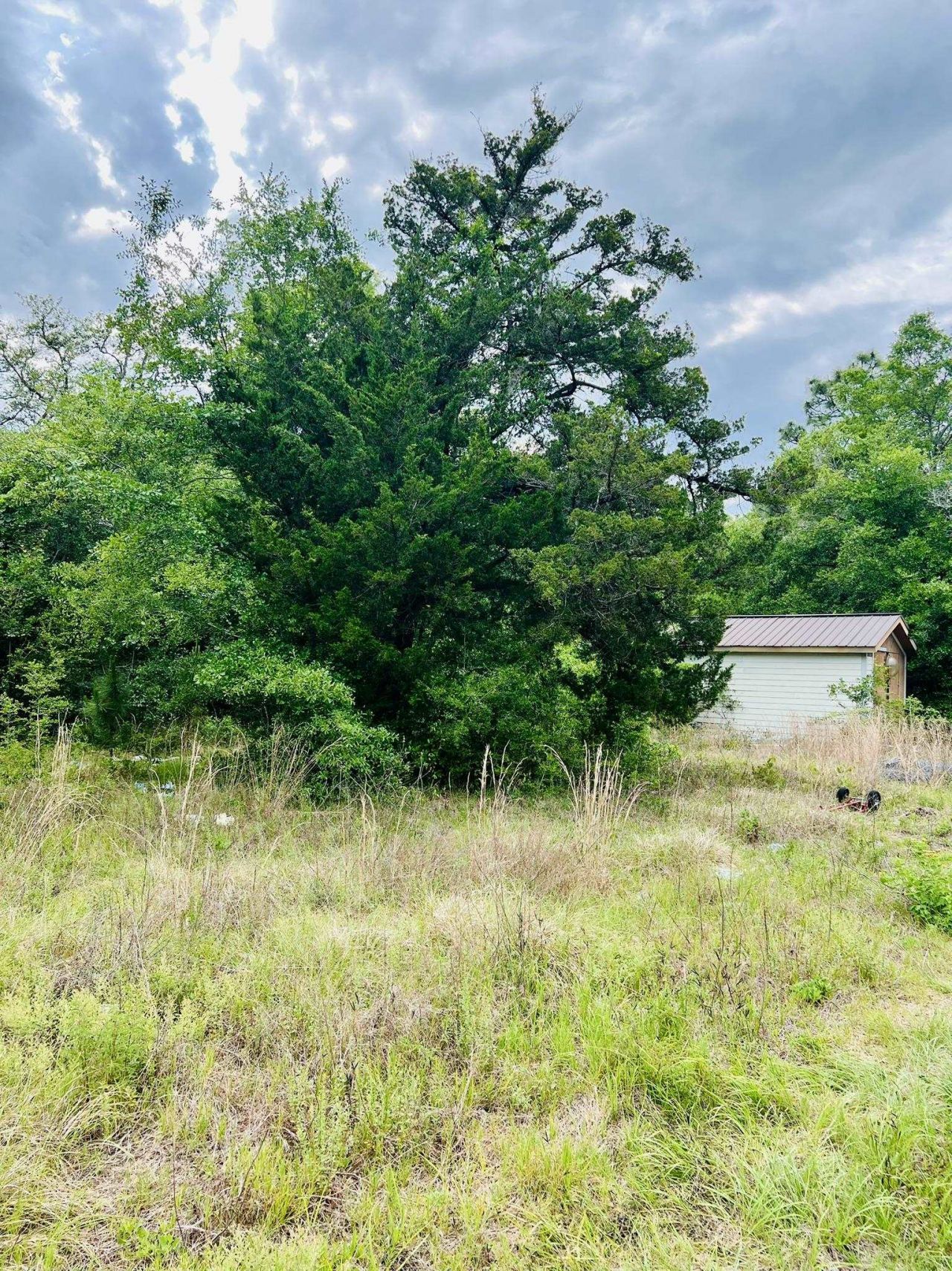 2523 Palmetto Terrace, Lanark Village, FL 32323 Photo