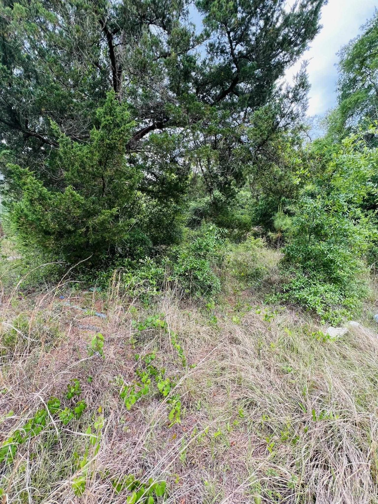 2523 Palmetto Terrace, Lanark Village, FL 32323 Photo