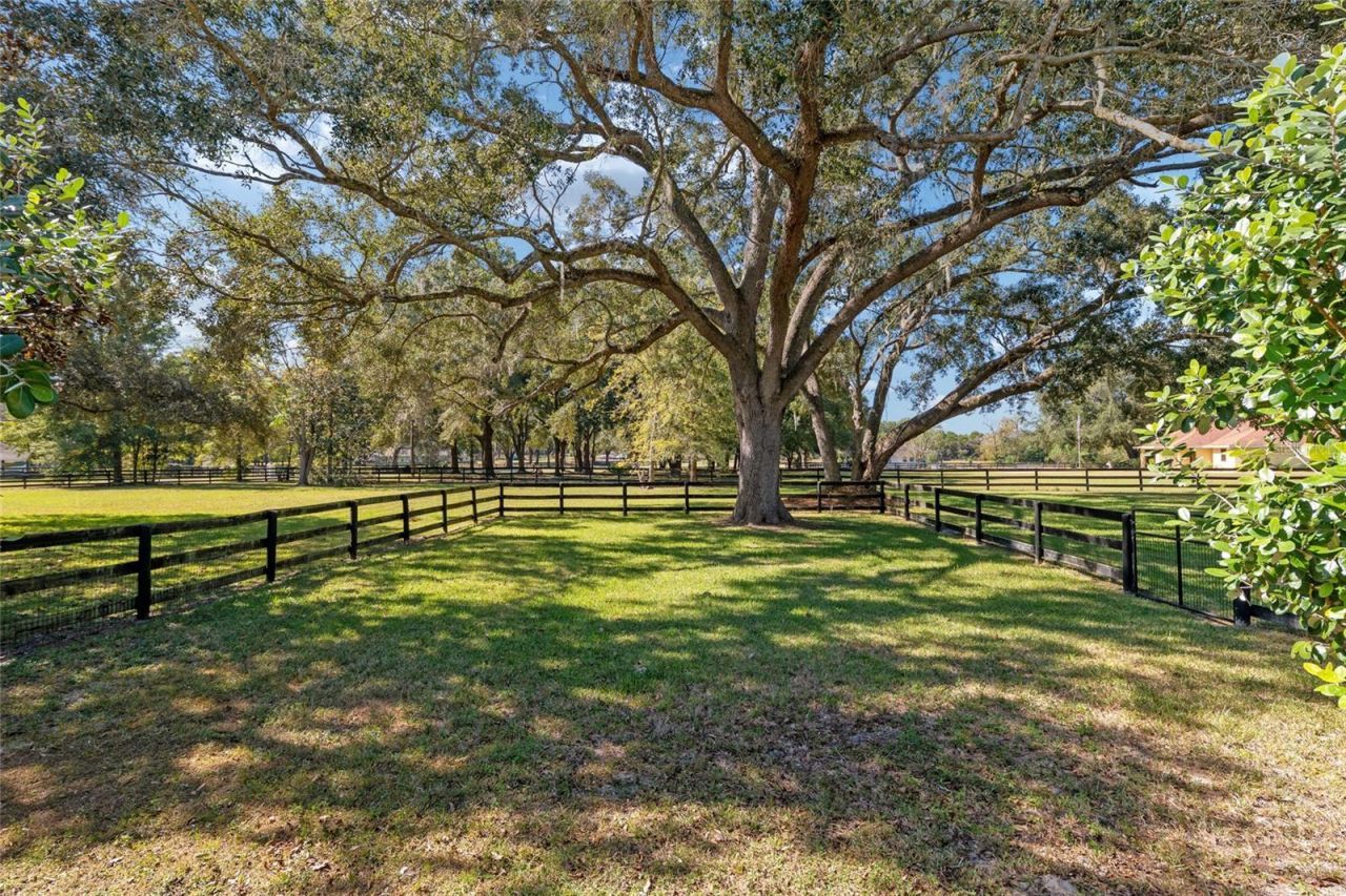 7509 SW 93rd Street Road, Ocala, FL 34476 Photo